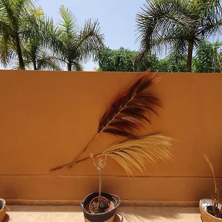 Renove 2 Chambres, Grande Terrasse S-o, Parking Prive Et Piscine Chauffee *