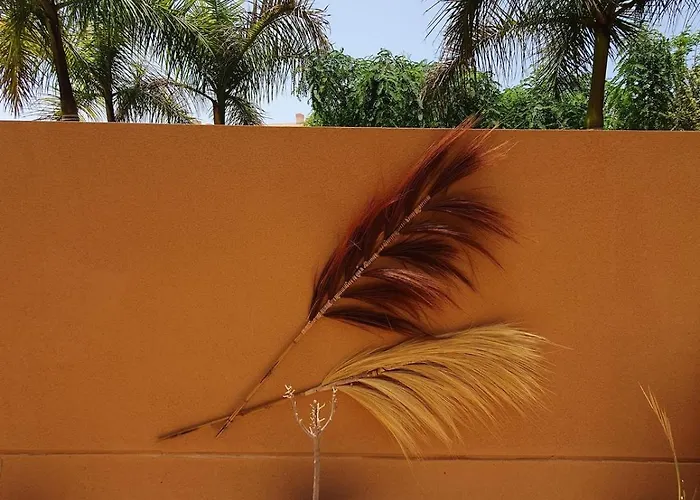 Renove 2 Chambres, Grande Terrasse S-o, Parking Prive Et Piscine Chauffee *