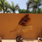 Renove 2 Chambres, Grande Terrasse S-o, Parking Prive Et Piscine Chauffee *