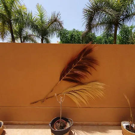 Renove 2 Chambres, Grande Terrasse S-o, Parking Prive Appartement